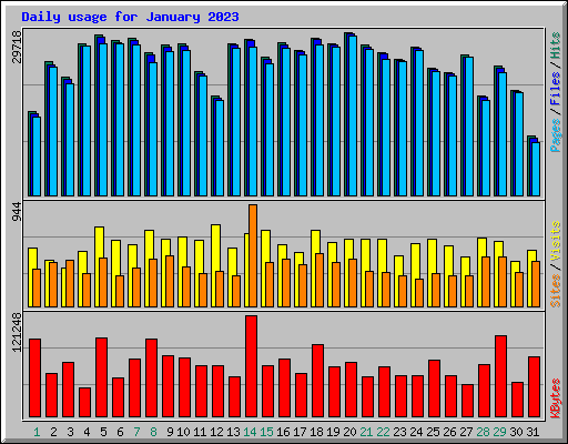 Daily usage for January 2023