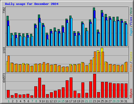 Daily usage for December 2024