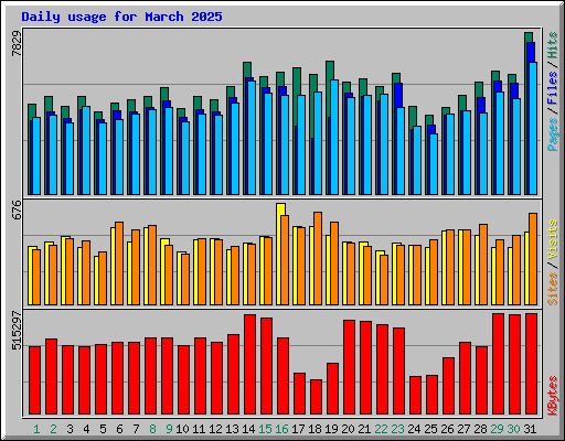 Daily usage for March 2025