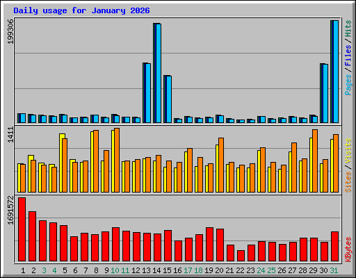 Daily usage for January 2026