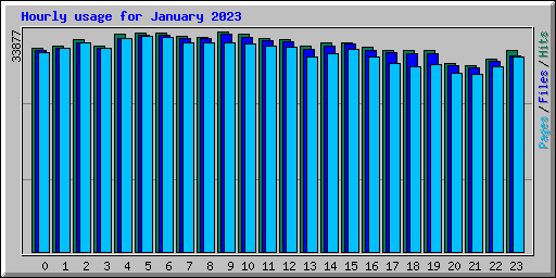 Hourly usage for January 2023