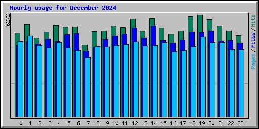 Hourly usage for December 2024