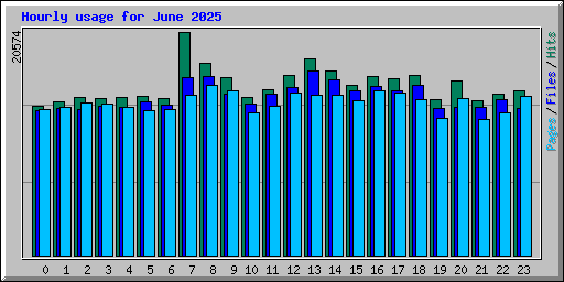 Hourly usage for June 2025