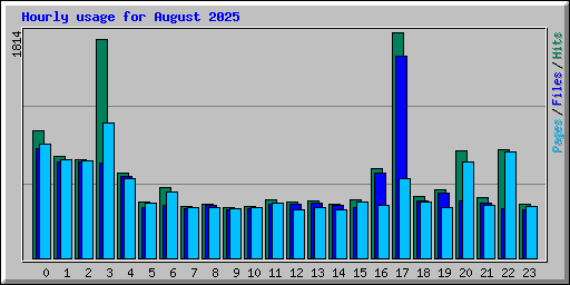 Hourly usage for August 2025