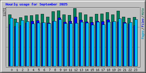 Hourly usage for September 2025