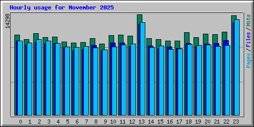 Hourly usage for November 2025