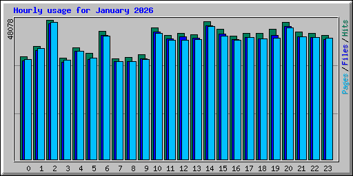 Hourly usage for January 2026