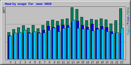 Hourly usage for June 2026